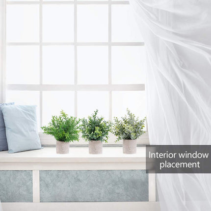 OUTLEE 3 Pack Mini Artificial Potted Plants Faux Eucalyptus Plants Boxwood Rosemary Greenery in Pots Small Houseplants for Home Decor Office Desk Shower Room Decoration