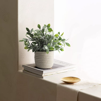 Hopewood Faux Plants, Small Fake Plant for Bathroom, Decorative Artificial Plants for Farmhouse Desk Shelf Decor with A Weave Basket (9.8inch)