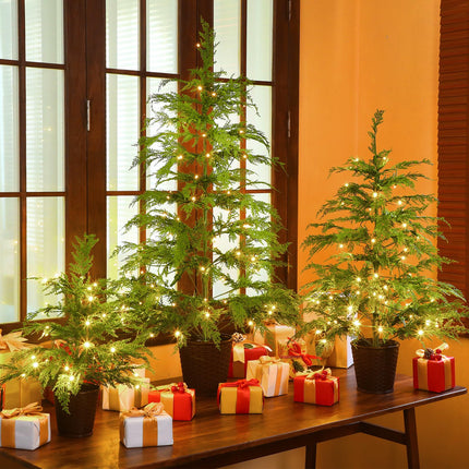 Cinnvoice Set of 3 2ft 3ft 4ft Pre-lit Twinkle Christmas Cypress Tree with 180 LED Light Realistic Artificial Trees with Woven Basket Base Xmas Holiday Decor for Indoor Living Room Home (Cypress Tree)