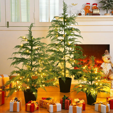 Cinnvoice Set of 3 2ft 3ft 4ft Pre-lit Twinkle Christmas Cypress Tree with 180 LED Light Realistic Artificial Trees with Woven Basket Base Xmas Holiday Decor for Indoor Living Room Home (Cypress Tree)